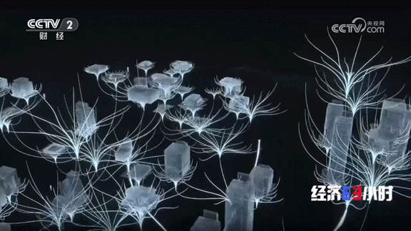 央视4.gif